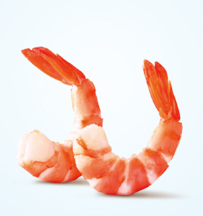 對(duì)對(duì)蝦