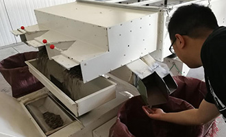 一顆新疆瓜子的河南故事！良品鋪?zhàn)庸?yīng)鏈溯源，“五星級(jí)”瓜子有啥不一樣